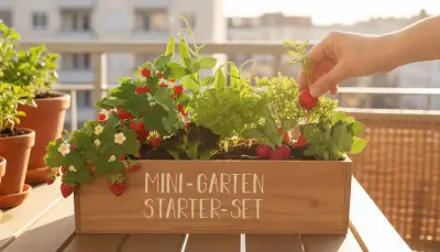 Erfolgreich Balkongemüse anbauen: Dein eigener Garten