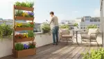 Grüne Wände: Dein Vertikalbeet auf dem Balkon