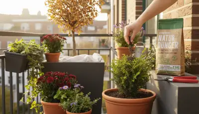 Herbstkur für Balkonpflanzen: Winterfest machen