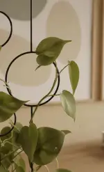 Bubbles Rankhilfe für Zimmerpflanzen 70 cm | Metall - Pflanzenstütze - Rankgitter - Blumengitter | Innenraum Dekoration | Innen-/Außen-Pflanzenwand für Topfpflanzen, Pflanzenständer