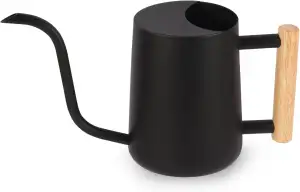 Gießkanne Zimmerpflanzen, 1L Gießkanne Klein Indoor Metall Edelstahl Moderner De