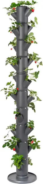 GUSTA GARDEN Sissi Strawberry Erdbeerbaum Infinity Anthrazit - Hochbeet System Erdbeeren mit Wand...