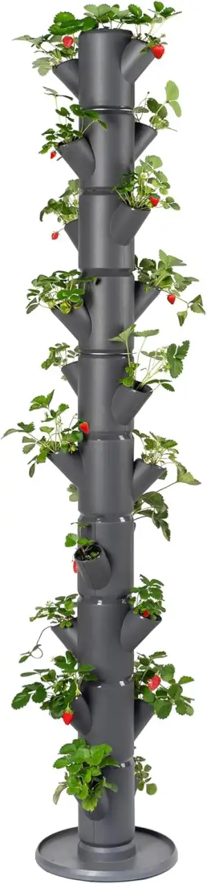 GUSTA GARDEN Sissi Strawberry Erdbeerbaum Infinity Anthrazit - Hochbeet System E