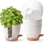 T4U 15CM 4er Set Selbstbewässernder Kräutertopf für Fensterbank & Küche – Basilikum, Petersilie, ...