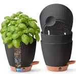 T4U 15cm 4er Set Selbstbewässernder Kräutertopf für Fensterbank & Küche – Basilikum, Petersilie, ...