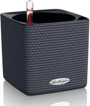 Lechuza "Cube Color 14" Pflanzgefäß mit ERD-Bewässerungs-System, Schiefergrau, 1