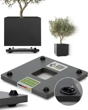 Pflanzwerk Pflanzkübel Untersetzer - Ultraflacher Designer Pflanzenroller - 28 c