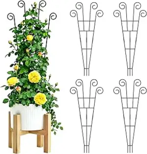 4er Rankgitter 75CM für Kletterpflanzen, Metall Rankhilfe Zimmerpflanzen, Pflanz