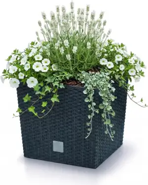 Prosperplast quadratisch Blumentopf in Rattan-Optik Rato Serie anthrazit Volumen
