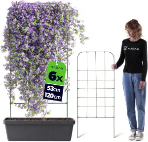 KADAX Rankgitter 53 x 120 cm, 6 Stück, Rankhilfe für Kletterpflanzen wie Bohnen & Erbsen, Pflanzenstütze aus beschichtetem Metall, Pflanzengitter für Pflanzkübel