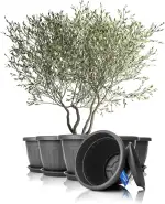 BigDean 6X Blumentopf mit Untersetzer rund ø50xH38 cm anthrazit - wetterfester Pflanzkübel - Wasserablauf UV-beständig aus bruchsicherem Kunststoff - Innen + Außen geeignet - Made in Europe