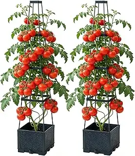 Tomatentopf mit Rankhilfe, 2 Pack Selbstbewässerung Tomatentopf mit Wasserspeich
