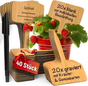 Pflanzenschilder Holz 40 Stk | 20 Pflanzschilder blank zur individuellen Beschri