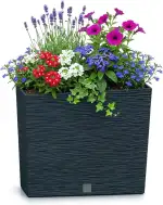 Prosperplast Blumenkasten mit Einsatz | aus robustem Kunststoff | Anthrazit | wetterfest und UV-b...