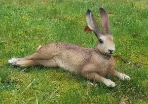Hase Uwe Dekofigur Feldhase Rammler Kaninchen Gartendeko Ostern Indoor Outdoor