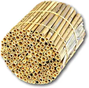 BeeCasa by Hiss Reet® Schilfrohrhalme MEDIUM | Naturbelassener Bund | Insektenho