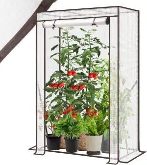 Sekey Gewächshaus Klein 150x100x50 cm, Tomatengewächshaus Foliengewächshaus Toma