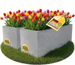 Ondis24 2X Pflanzkübel Vulkano, je 50L Pflanzvolumen, rechteckig, Blumenkasten mit Wasserspeicher...