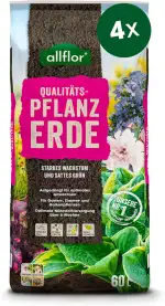 Allflor Pflanzerde I 4 x 60 Liter Beutel I Erde gebrauchfertig, aufgekalkt, aufgedüngt I Blumenerde für Pflanzungen im Garten oder im Kübel I Schnelles und optimales Wachstum