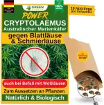 GREEN GUARDIA Cryptolaemus gegen Schmierläuse, Wollläuse & Blattläuse – 1 x 10 Nützlinge für ca. ...