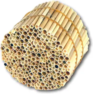 BeeCasa by Hiss Reet® Schilfrohrhalme Premium | Geschälter Bund | Insektenhotel 