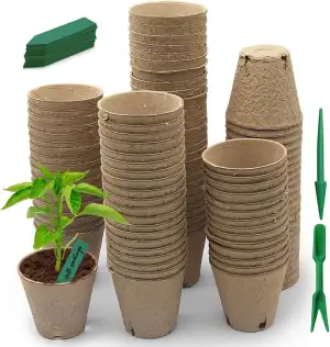 Biologisch Abbaubare Sammlingsbecher - 80 Stück Ø 8 cm Runde Anzuchttöpfe aus Ko