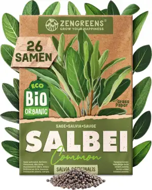 Bio Salbei Samen - Salbeisamen - Kräutersamen für den einfachen Anbau im Garten, Balkon oder Küche - Kräuter Saatgut ideal für Anfänger