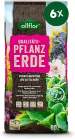 Allflor Pflanzerde I 6 x 60 Liter Beutel I Erde gebrauchfertig, aufgekalkt, aufgedüngt I Blumenerde für Pflanzungen im Garten oder im Kübel I Schnelles und optimales Wachstum