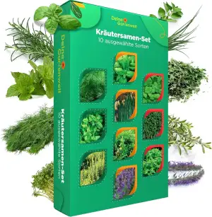 Premium Kräutersamen Set (10 Sorten) - Hohe Keimkraft - Küchenkräuter Saatgut Mi