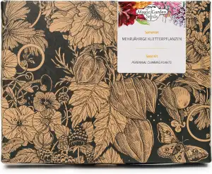 Mehrjährige Kletterpflanzen - Samen-Geschenkset mit 3 beeindruckenden Pflanzenso