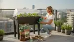 Dein Hochbeet: Selber bauen leicht gemacht