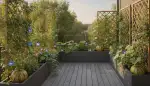 Schnellwachsende Rankpflanzen für Ihren Balkon