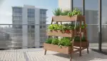 Vertikaler Garten: Gemüse auf kleinem Raum