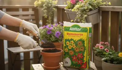 Balkonpflanzen: Frühjahrskur für grüne Oasen