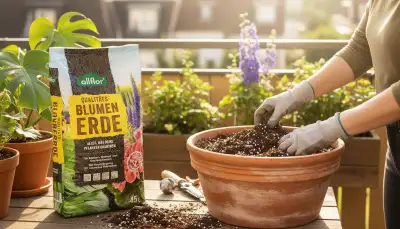 Blumenerde wiederverwenden: Nachhaltig gärtnern